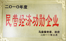 民營經(jīng)濟功勛企業(yè)-2011.jpg